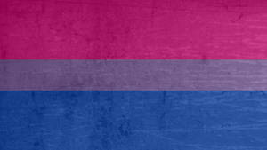 Bisexual Flag Textured Wallpaper