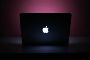 Black And Pink Aesthetic Macbook Laptop Wallpaper