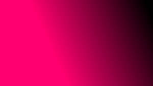 Black And Pink Color Gradient Wallpaper