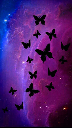 Black And Purple Aesthetic Butterflies Wallpaper