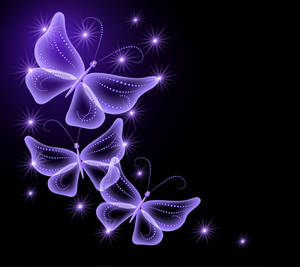Black And Purple Aesthetic Butterfly Graphic Wallpaper