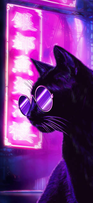 Black And Purple Aesthetic Cool Cat Wallpaper