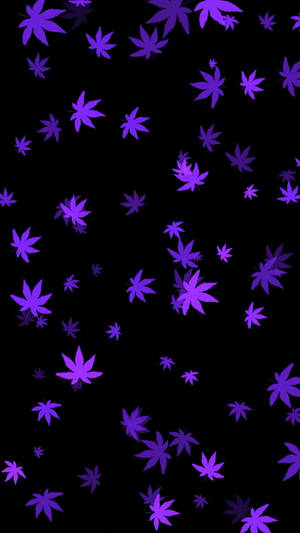 Black And Purple Aesthetic Leaves Wallpaper