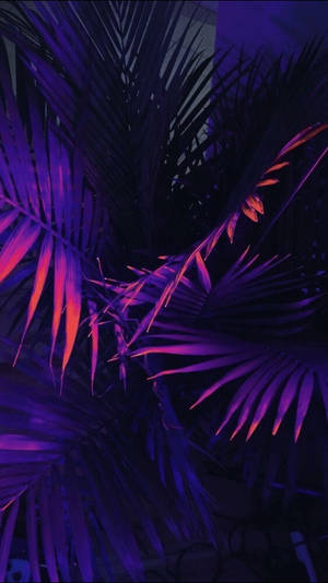 Black And Purple Aesthetic Plant Wallpaper