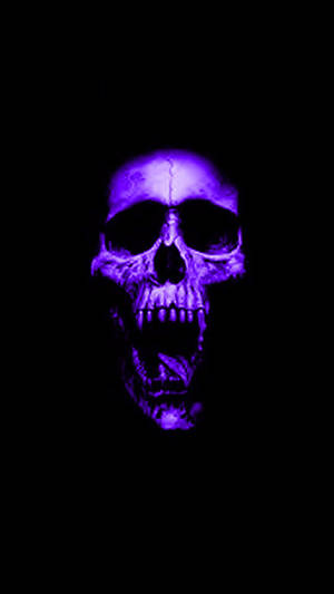Black And Purple Aesthetic Skull Wallpaper