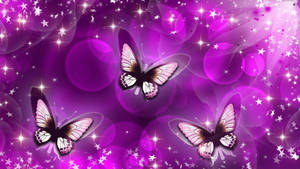 Black And Purple Butterfly Digital Artwork Wallpaper