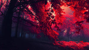 Black And Red Forest Of Trees Wallpaper