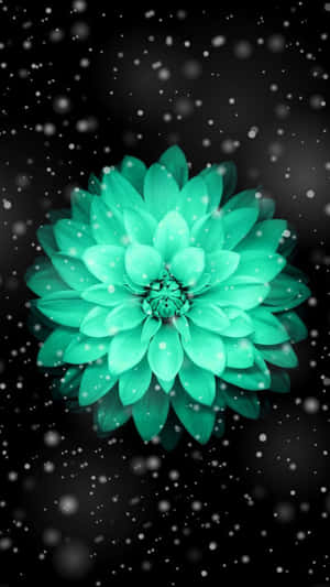 Black And Teal Flower Wallpaper