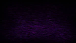 Black And Violet Glitch Lines Wallpaper