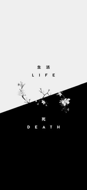 Black And White Aesthetics For That Alluring Look Wallpaper