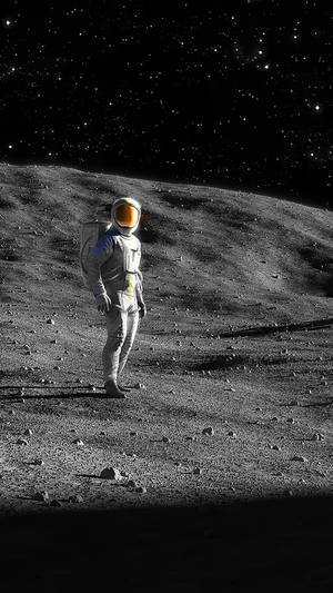 Black And White Astronaut Moon Land Portrait Wallpaper