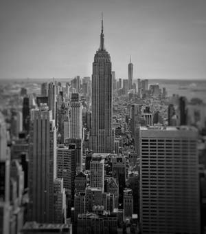 Black And White Capture Of Empire State Building Wallpaper