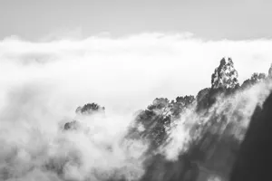 Black And White Cloud Dense Fog Wallpaper