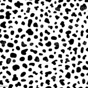Black And White Cow Print Pattern Wallpaper