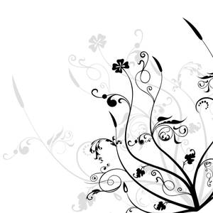 Black And White Flower 2d Artwork Stems Wallpaper
