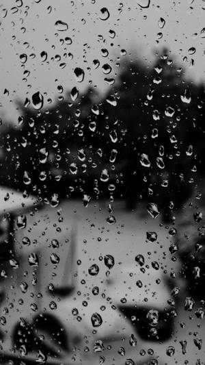 Black And White Glass Raindrops Portrait Wallpaper