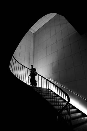 Black And White Hd Curvy Staircase Wallpaper