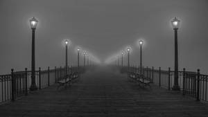 Black And White Hd Park Lamp Posts Wallpaper
