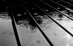 Black And White Hd Wet Wood Surface Wallpaper
