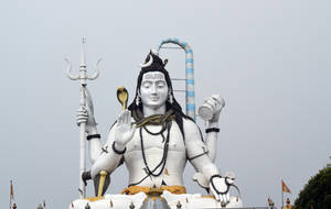 Black And White Lord Shiva 8k Wallpaper