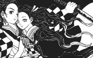 Black And White Nezuko And Tanjiro Kamado Wallpaper