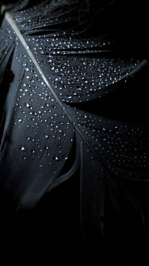 Black Android Feather Wallpaper