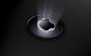 Black Apple Light Wallpaper
