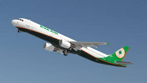 Black Bottom Eva Air Wallpaper