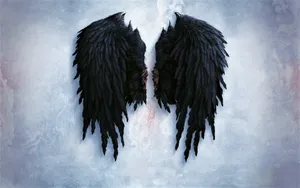 Black Broken Wings Wallpaper
