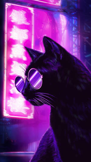 Black Cat Dark Purple Signage Wallpaper