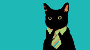 Black Cat Digital Art Wallpaper