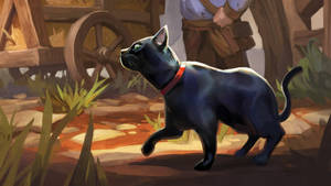 Black Cat Runescape Wallpaper