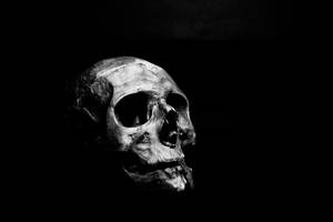Black Desktop Human Skull Wallpaper