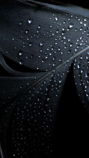 Black Feather Galaxy Note 4 Wallpaper