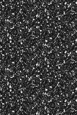 Black Glitter White Paint Wallpaper