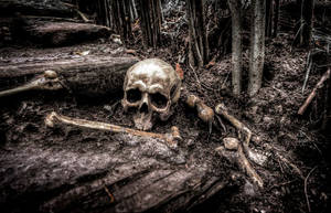 Black Horror Bones In Forest Wallpaper