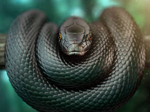 Black Mamba Snake On Tree Branch Wallpaper