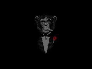 Black Monkey In Suit Wallpaper