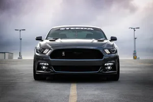 Black Mustang Car Wallpaper