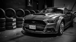 Black Mustang Tires Wallpaper