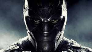 Black Panther Close Up Wallpaper