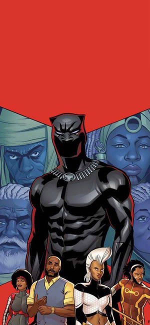 Black Panther Marvel Iphone X Wallpaper