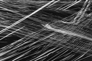 Black Plastic Clean Wrap Wallpaper