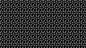 Black Polka Dot 2560 X 1440 Wallpaper