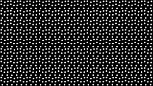 Black Polka Dot 2560 X 1440 Wallpaper