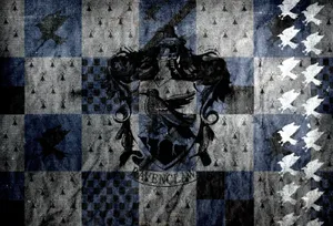 Black Ravenclaw Flag Hd Wallpaper