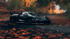 Black Sports Cars In Autumn Wallpaper
