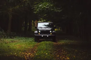 Black Thar 4k Forest Wallpaper