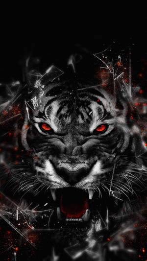 Black Tiger With Bloody Red Eyes Wallpaper