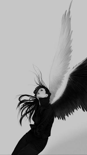 Black White Angel Wings Wallpaper